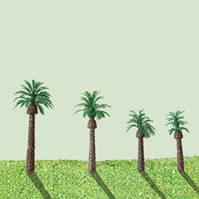 model trees